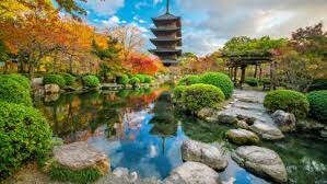 The day I moved to Japan