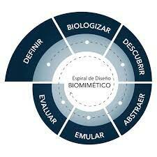 Modelo Biologización
