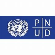 Programa de las Naciones Unidas para el Desarrollo (PNUD) de la ONU.