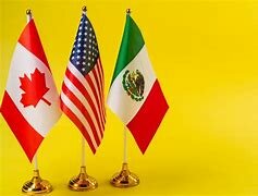 Tratado de Libre Comercio de América del Norte (TLCAN),