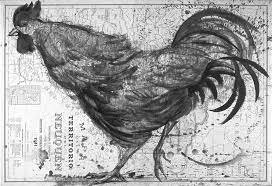 El surgimiento de las Ciencias Sociales