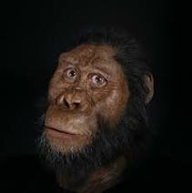 Australopithecus anamensis.