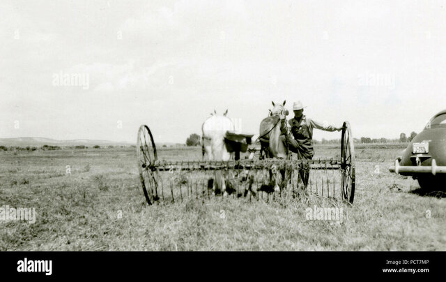 Prima del miracolo economico (1958-1963)