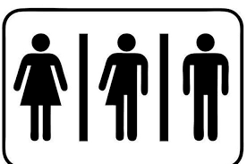 Sexo Binario. Nancy Fraser y Rosi Braidote