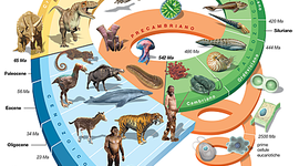 Timeline: le ere geologiche