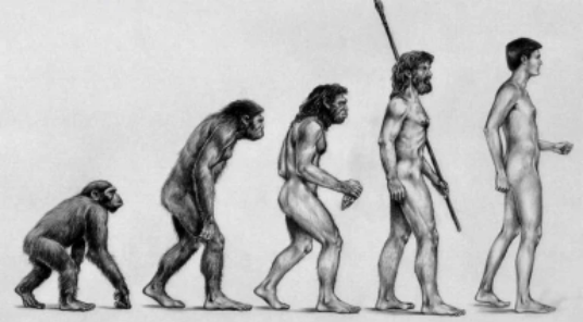 Siglo XIX y la Evolución