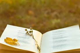 Svetovni dan poezije