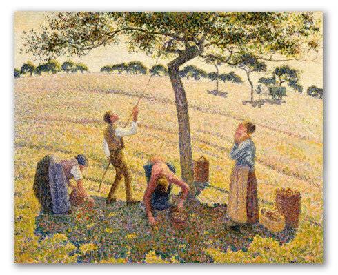 Cosecha de Manzanas, Pissarro