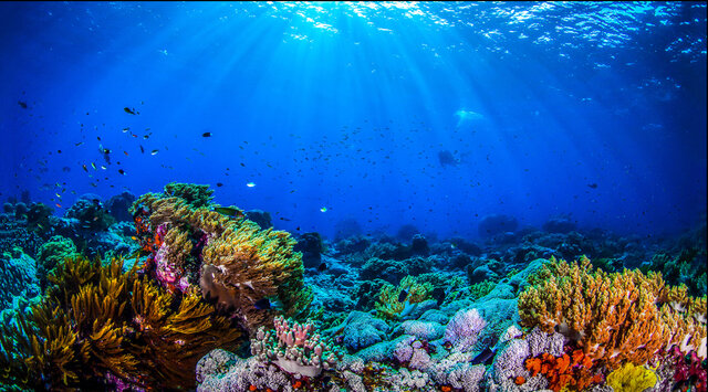 Svetovni dan oceanov