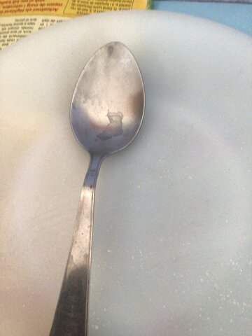 Primers estris de cuina