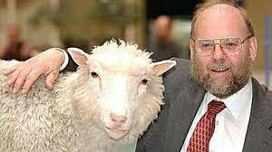 clonación oveja Dolly