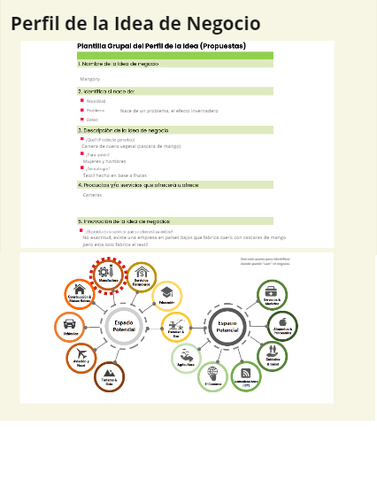 Perfil de la idea de negocio