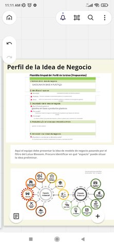 Perfil de la idea de negocio