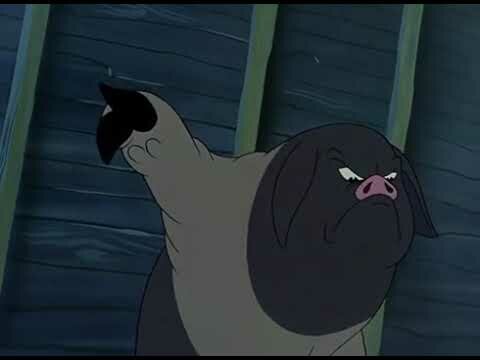 Napoleon has an announcement