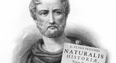 Naturalis Historia