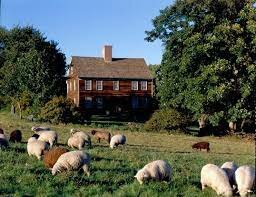The pigs move into the farmhouse