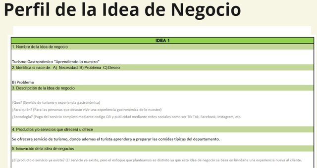 PERFIL DE IDEA DEL NEGOCIO