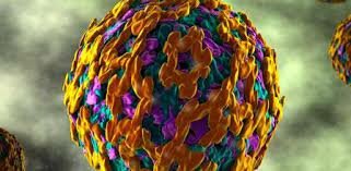 EPIDEMIAS Y TRANVIAS