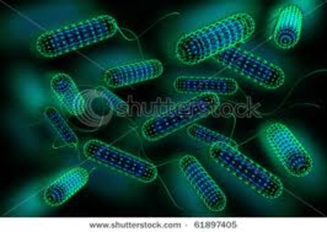 Haiti cholera outbreak