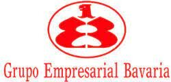 Grupo empresarial Bavari a