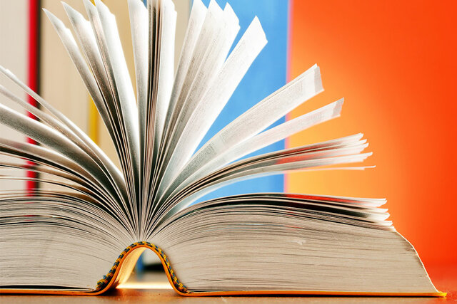 Referentes bibliograficos