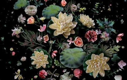 Teofrasto fundó la botánica