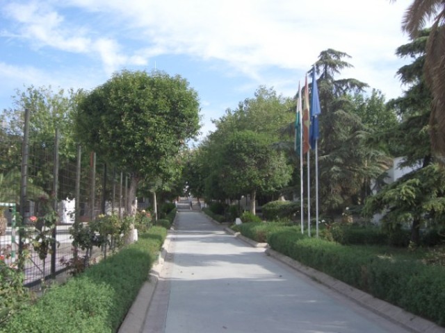 Mi primer paso: Párbulos