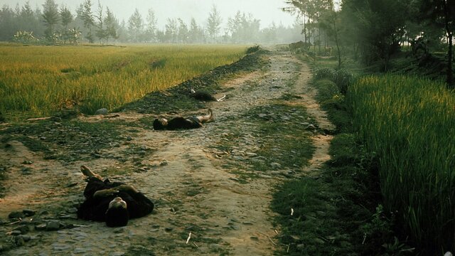 Mai Lai Massacre
