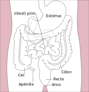 Muerte de Carlos Ruíz Zafón