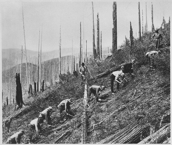 Civilian Conservation Corps