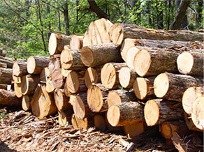 A pile of timber is to be sold