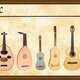 Evolucion guitarra