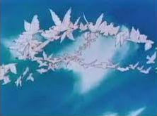 The animals have been scammed