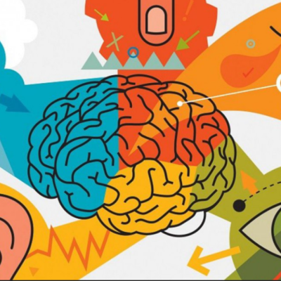 Timeline: Recorrido en el estudio de los procesos sensoperceptivos