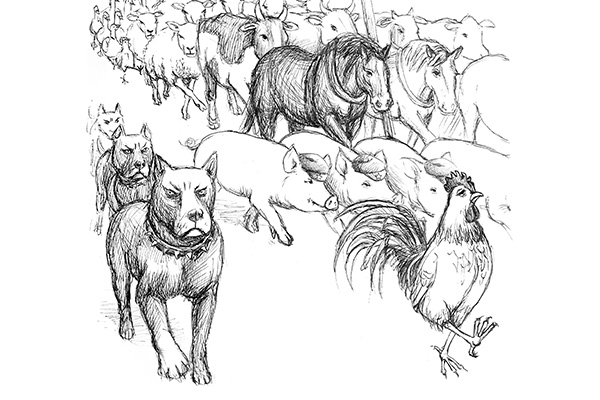 Spontaneous demonstration