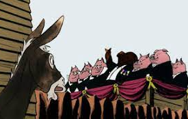 Napoleon elected president