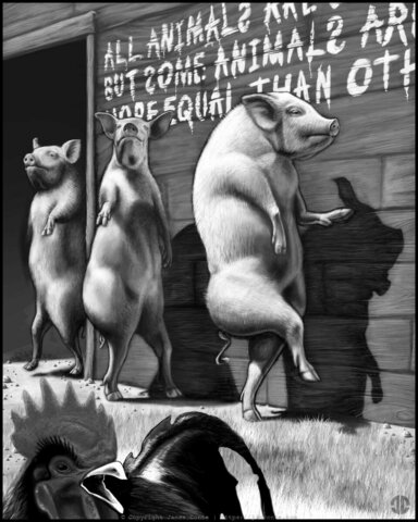 The pigs walk on their hind legs