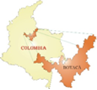 DEPARTAMENTALIZACION