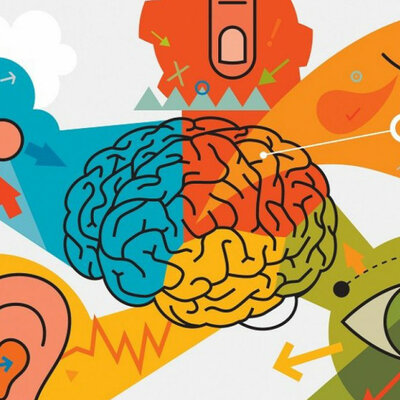 Timeline: Actividad 4 - Recorrido en el estudio de los procesos sensoperceptivos