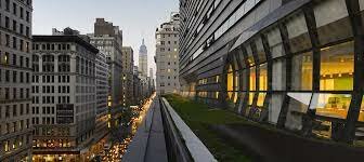 Le ofrecieron el puesto de catedrático a Reich adjunto de psicología médica en la Nueva Escuela de Investigación Social de Nueva York