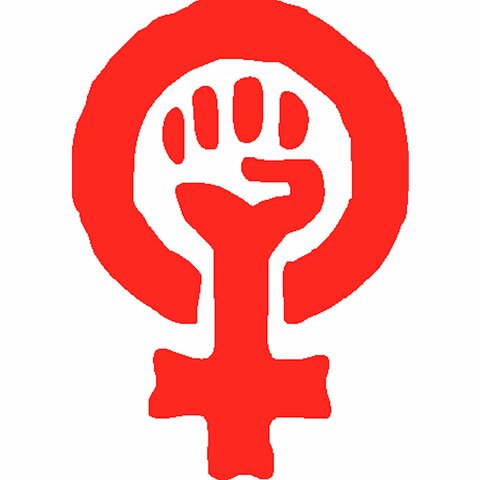 Auge grupo feminista ¨Redstockings¨