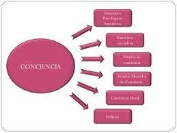 James argumentaba en favor de la supremacía de  los estados de conciencia místicos sobre los puramente discursivos