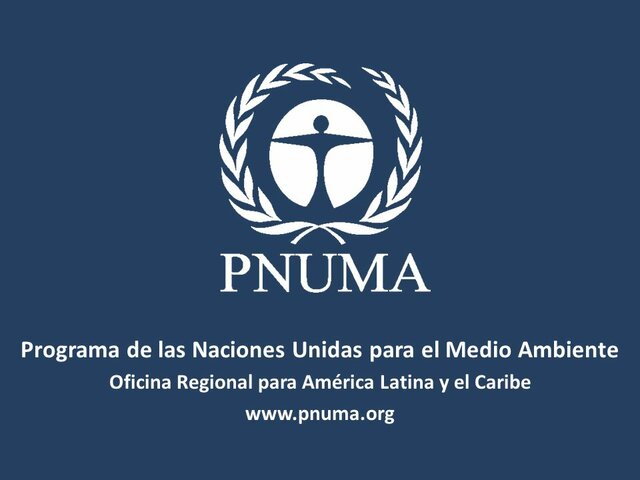 Programa de Naciones Unidas para el Medio Ambiente (PNUMA)