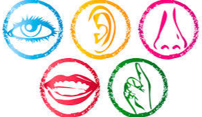 ENFOQUE ESTRUCTURALISTA