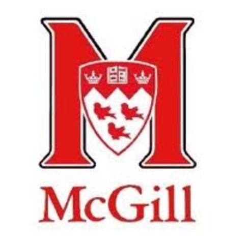 Mcgill University men's football team