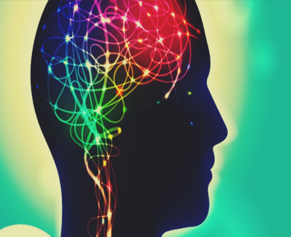 TEORIA DE INTEGRACION DE CARACTERISTICAS