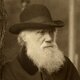 Charles darwin photograph two column.jpg.thumb.768.768