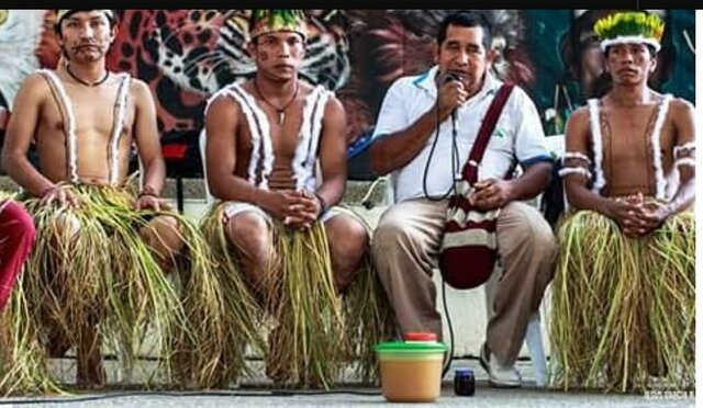 LOS INDÍGENAS A LA VIDA CIVIL