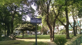 Timeline: la historia de caballito