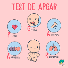 Primeros minutos de vida